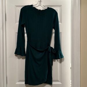 Francesca's Collections green Knit wrap dress
